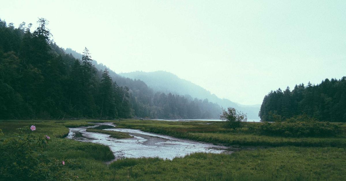 10 công cụ AI không thể thiếu cho chủ doanh nghiệp vừa và nhỏ