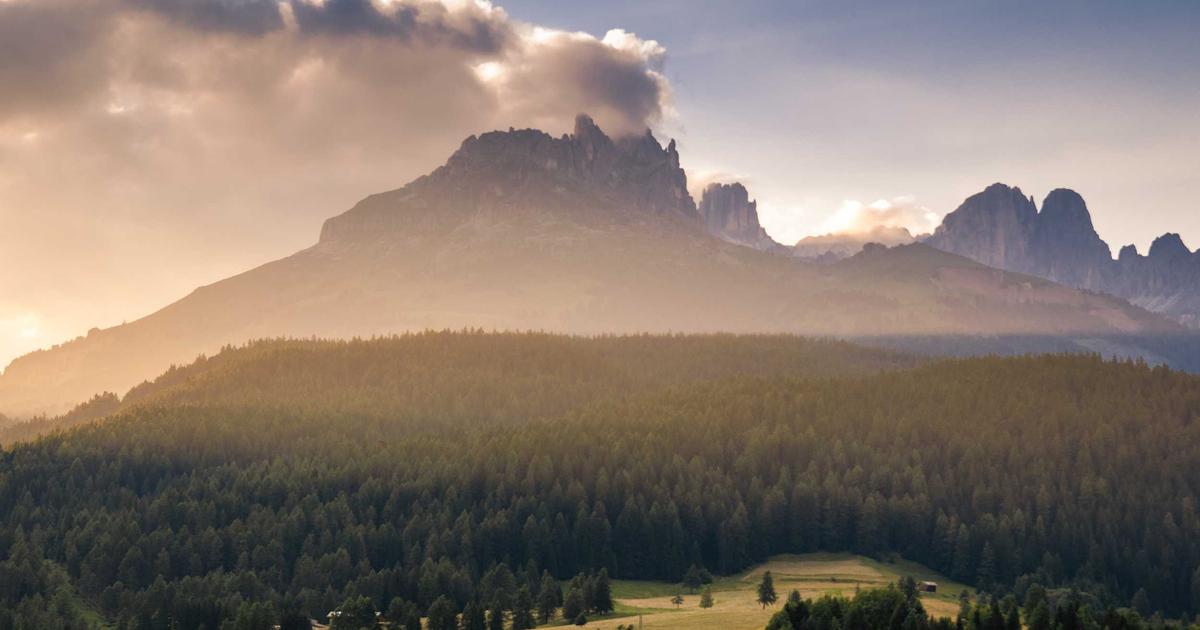 Tại sao 90% startup thất bại và cách để bạn nằm trong 10% còn lại