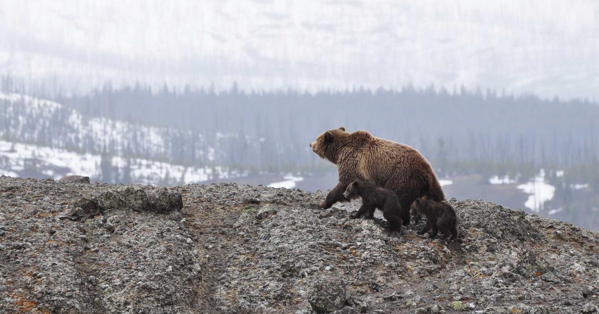 Xây dựng đội ngũ 'nhân viên AI' để tối ưu quy trình vận hành