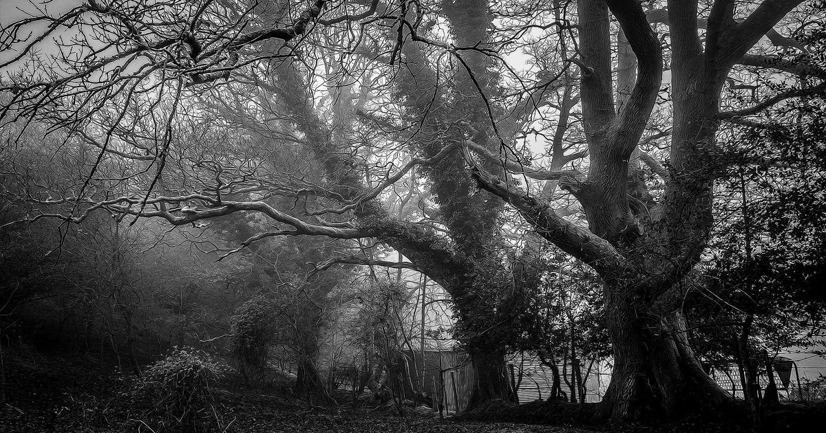 Xu hướng nhượng quyền ngành F&B năm 2026: Phân tích chuyên sâu và dự báo chiến lược